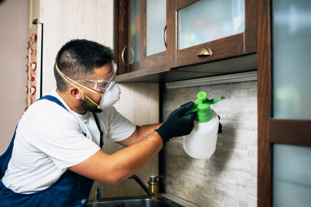 Flea Control Services in Appleton, WI