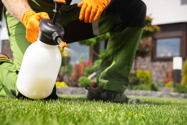 Best Pest Prevention Services  in Appleton, WI