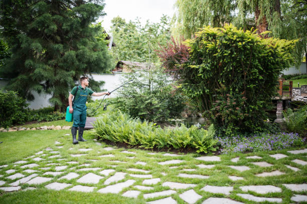 Best Exterminator Services  in Appleton, WI
