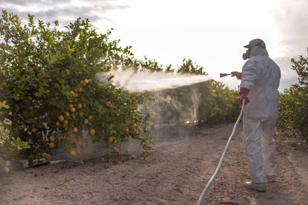 Appleton, WI Pest Control Company