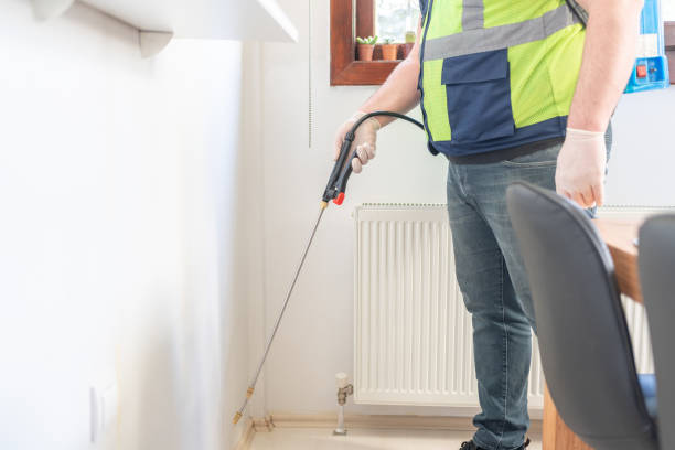 Best Affordable Pest Control Services  in Appleton, WI