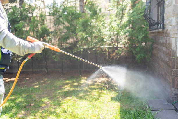 Best Termite Control Services  in Appleton, WI
